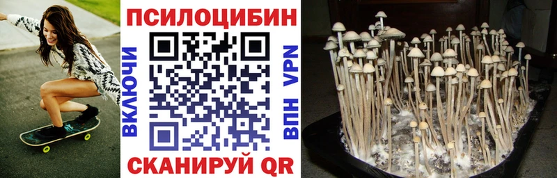 Псилоцибиновые грибы GOLDEN TEACHER  магазин  наркотиков  Краснокамск 